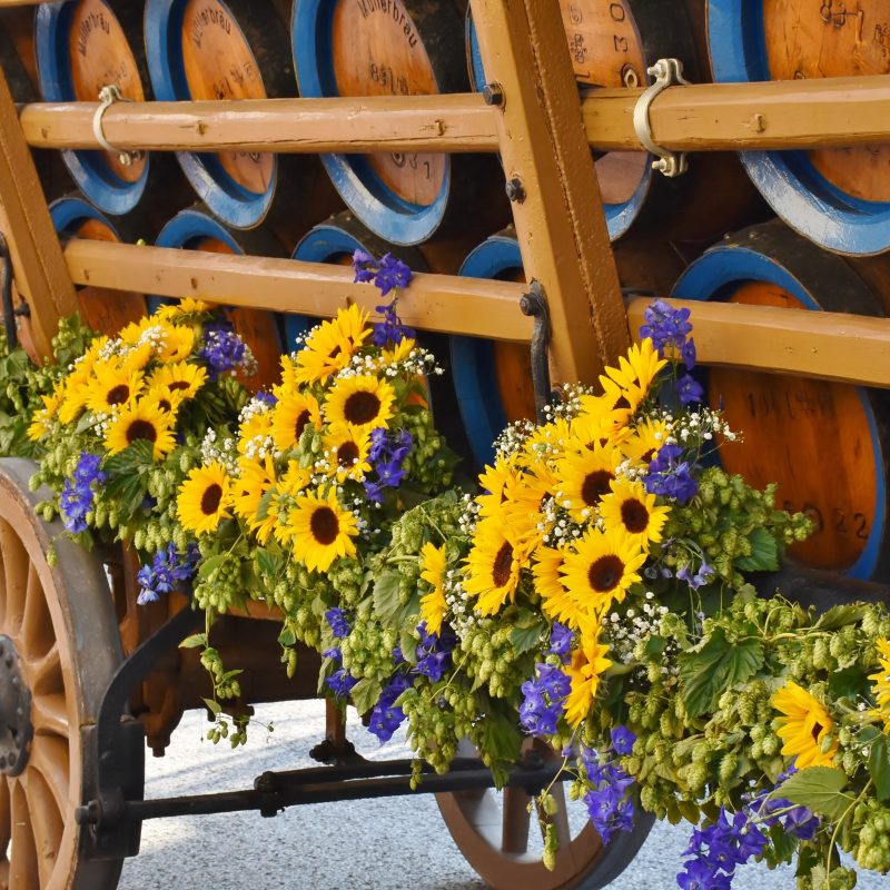 beer-car-922676